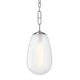 Hudson Valley Lighting Bruckner 8 Inch Mini Pendant - 2109-PN