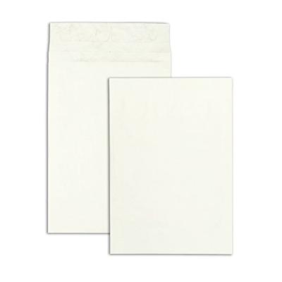 Survivor R4520 Tyvek Expansion Mailer, 12 x 16 x 2, White (Case of 100)