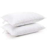 Cheer Collection King Size Sham Inserts - Comfortable Hollow Fiber 20